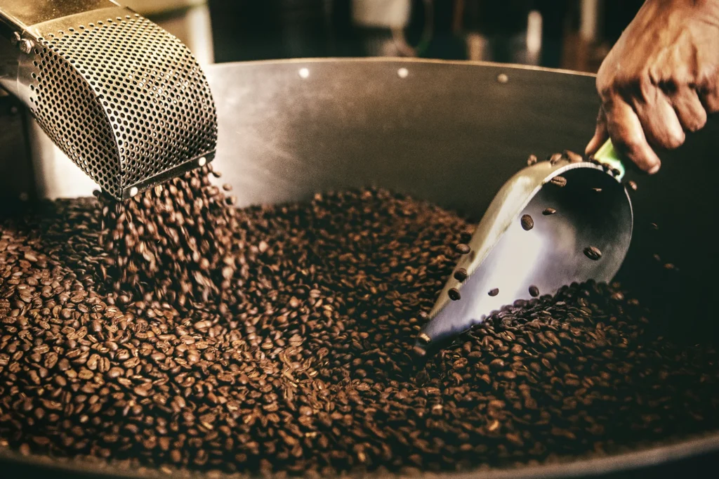 Cold brew w domu – jak zrobić kawę mrożoną ze świeżo palonego ziarna krok po kroku