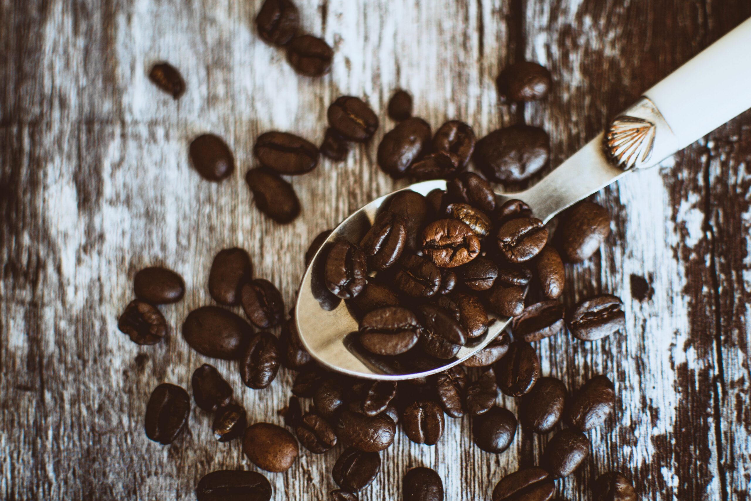 Kawa a mleko – które single origin najlepiej sprawdzą się w cappuccino i latte?